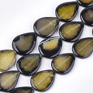 Natural Crackle Agate Beads Strands, Dyed, Teardrop, Dark Khaki, 40~41x29~31x5.5~7mm, Hole: 2mm, about 10pcs/strand, 15.5 inch(G-T121-02A)