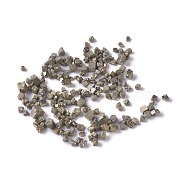 Natural Pyrite Chip Beads, No Hole/Undrilled, 2~5x2~6x1~4.5mm(G-M364-19)