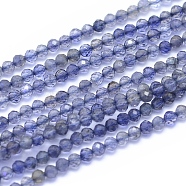 Natural Iolite Beads Strands, Faceted, Round, 2.5mm, Hole: 0.6mm, about 160pcs/strand, 15.75 inch(40cm)(G-I279-E08)