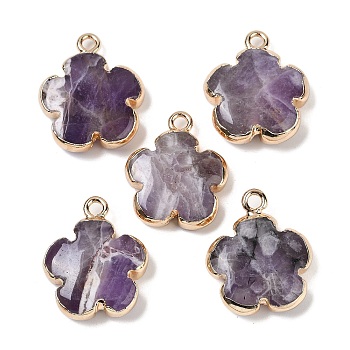 Natural Amethyst Pendants, Flower Charms with Brass Findings, Golden, 23~24x21x6mm, Hole: 1.8mm