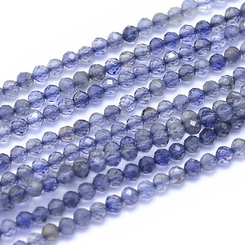 Natural Iolite Beads Strands, Faceted, Round, 2.5mm, Hole: 0.6mm, about 160pcs/strand, 15.75 inch(40cm)