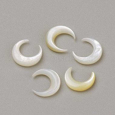 8mm Seashell Moon White Shell Cabochons