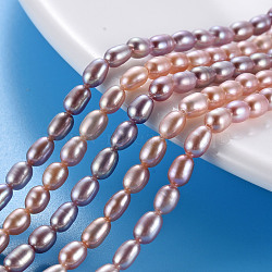 Natural Cultured Freshwater Pearl Beads Strands, Rice, Lilac, 4.5~6x3~3.5mm, Hole: 0.5mm, about 76~78pcs/strand, 14.37 inch(36.5cm)(PEAR-N012-02D)