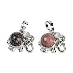 Natural Rhodonite Pendants, Rack Plating Brass Rhinestone Elephant Charms, Platinum, Cadmium Free & Lead Free, 17.5x20.5x8mm, Hole: 5x8mm(G-I374-A-P02)