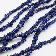 Chips Natural Lapis Lazuli Beads Strands, 3~8x3~12x3~5mm, Hole: 1mm, about 32 inch(G-N0164-46)