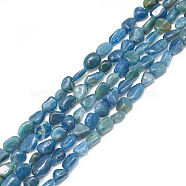 Natural Apatite Beads Strands, Tumbled Stone, Nuggets, 4~15x4~8x3~7mm, Hole: 1mm, about 40~70pcs/strand, 15.7 inch(G-S301-39)