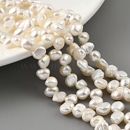 Natural Cultured Freshwater Pearl Beads Strands, Top Drilled, Two Sides Polished, Grade 3A, Old Lace, 4~5mm, Hole: 0.5mm, about 36pcs/strand, 6.89 inch(17.5cm)(PEAR-A006-15)