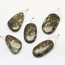 Natural Fossil Pendants, Mixed Shapes, 30~66x18~52x3~14mm, Hole: 2mm(G-G694-A-07)
