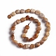 Natural Fossil Coral Beads Strands(X-G-D0002-D78)-2