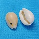 Perles de coquillage cauri naturelles(X-BSHE-S055)-2