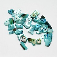 Dyed Natural Shell Nuggets Chips Beads, Dark Cyan, 11~16x6~9mm, Hole: 1mm, about 980pcs/500g(BSHE-O007-04A)