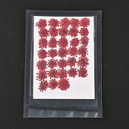 Pressed Dried Flowers, for Cellphone, Photo Frame, Scrapbooking DIY Handmade Craft, FireBrick, 15~20x13~19mm, 100pcs/bag(DIY-K032-58C)