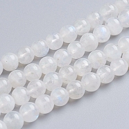 Natural Rainbow Moonstone Beads Strands, Grade AA, Round, White, 6mm, Hole: 1mm, about 62pcs/strand, 15.5 inch(G-G212-6mm-37)