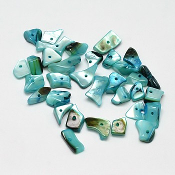 Dyed Natural Shell Nuggets Chips Beads, Dark Cyan, 11~16x6~9mm, Hole: 1mm, about 980pcs/500g