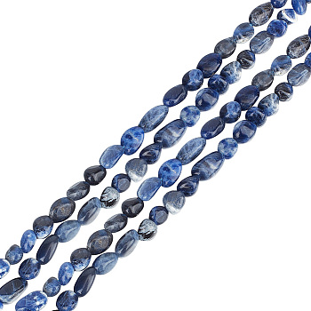 2 Strands Natural Sodalite Nuggets Beads Strands, Tumbled Stone, 5~10x6~7x3~7mm, hole: 1mm, about 14.9 inch~15.7 inch