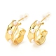 Brass Dangle Stud Earrings(EJEW-F273-13G)-1