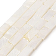 Natural Freshwater Shell Beads Strands, Rectangle, Floral White, 13.5~14x9~10x3mm, hole: 0.9mm, about 26pcs/strand, 14.65~14.80''(37.2~37.6cm)(BSHE-H018-03)