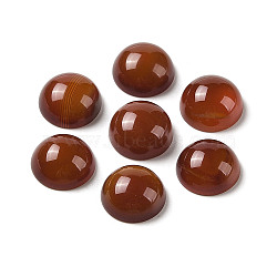 Natural Red Agate Cabochons, Dyed & Heated, Half Round, 12x5.5~6mm(G-B082-07C-02)