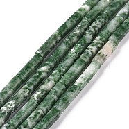 Natural Green Spot Jasper Beads Strands, Column, 4x13~14mm, Hole: 1.2mm, about 29pcs/strand, 15.39''(39.1cm)(G-F247-50)
