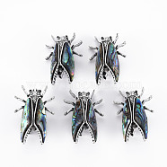 Cicada Shape Natural Abalone Shell/Paua Shell Brooch Pin, Alloy with Rhinestone Lapel Pin for Backpack Clothing, Lead Free & Cadmium Free, Antique Silver, Colorful, 41x27x15~17mm, Hole: 5x3mm, Pin: 0.7mm(G-N333-007B-RS)
