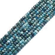 Natural Apatite Beads Strands, Faceted, Rondelle, 5~6x3~4mm, Hole: 1mm, about 85~90pcs/strand, 15.55 inch(39.5cm)(G-F715-101B)