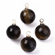 Natural Tiger Eye Charms, with Golden Plated Brass Loops, Round, 14x10.5mm, Hole: 1.5mm(G-N332-024G-07)