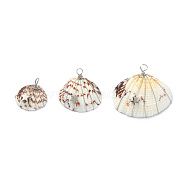 Natural Clam Shell Copper Wire Wrapped Pendants, Dyed Shell Chams with Brass Star Beads, Platinum, 21~32x23.5~37x8~10mm, Hole: 3.5mm(PALLOY-JF02056-01)