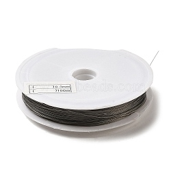 Nylon-coated Stainless Steel Tiger Tail Wire, Round, Raw(Unplated), 0.3mm, about 229.66 Feet(70m)/Roll(FIND-XCP0002-77)