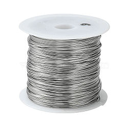 Non-Tarnish 316 Surgical Stainless Steel Wire, for Jewelry Making, Stainless Steel Color, 22 Gauge, 0.6mm, about 59.05 Feet(18m)/roll(TWIR-L004-01A-P)