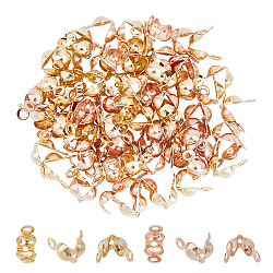 304 Stainless Steel Bead Tips, Calotte Ends, Clamshell Knot Cover, Golden & Rose Gold, 7.5x4x3.5mm, Hole: 1.5mm, Inner Diameter: 3.5mm, 80pcs/box(STAS-UN0011-14)