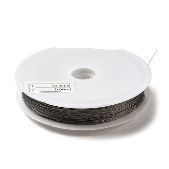 Nylon-coated Stainless Steel Tiger Tail Wire, Round, Raw(Unplated), 0.3mm, about 229.66 Feet(70m)/Roll