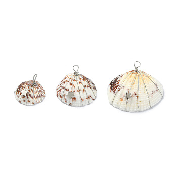 Natural Clam Shell Copper Wire Wrapped Pendants, Dyed Shell Chams with Brass Star Beads, Platinum, 21~32x23.5~37x8~10mm, Hole: 3.5mm
