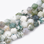 Natural Tree Agate Beads Strands, Star Cut Round Beads, Faceted, 6~7x5~6mm, Hole: 1mm, about 59~61pcs/strand, 14.2~14.6 inch(G-S332-6mm-010)