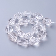 Natural Quartz Crystal Beads Strands, Rock Crystal, Faceted, Polygon, 19~22x12~18mm, Hole: 1.5mm, about 16~17pcs/strand, 15.15 inch~16.14 inch(38.5~41cm)(G-P434-39)