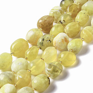 Natural Yellow Opal Beads Strands, Oval, 9.5~19.5x8~13.5x5.5~13mm, Hole: 0.9~1.2mm, about 24~27pcs/strand, 14.96~15.55''(38~39.5cm)(G-B028-B13)