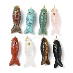 Natural & Synthetic Mixed Gemstone Carved Pendants, Fish Charms with Brass Micro Pave Cubic Zirconia Findings, Golden, 45.5x12.5x12mm, Hole: 1.6mm(G-P599-07G)