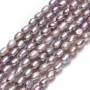 Natural Cultured Freshwater Pearl Beads Strands, Rice, Thistle, 4.5~6.5x2.5~3.3mm, Hole: 0.5mm, about 74~83pcs/strand, 14.37''~14.56"(36.5~37cm)(PEAR-J006-03B)