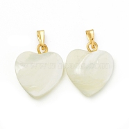 Natural Trochid Shell/Trochus Shell Pendants, Heart Charms, with Golden Tone Iron Findings, Seashell Color, 17~17.5x14.5x3.5mm, Hole: 5.5x2mm(SSHEL-K027-12)