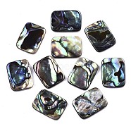 Natural Abalone Shell/Paua Shell Cabochons, with Freshwater Shell, Rectangle, Colorful, 20x15x3mm(SSHEL-N034-76A-01)