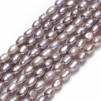 Natural Cultured Freshwater Pearl Beads Strands, Rice, Thistle, 4.5~6.5x2.5~3.3mm, Hole: 0.5mm, about 74~83pcs/strand, 14.37''~14.56"(36.5~37cm)