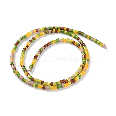 Handmade Czech Lampwork Beads Strands(LAMP-L078-008H)-2