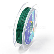 Tiger Tail Beading Wire, 7-Strand Bead Stringing Wire, Nylon Coated Stainless Steel Wire, Sea Green, 26 Gauge, 0.4mm, about 32.8 Feet(10m)/roll(TWIR-R007-0.4mm-12)