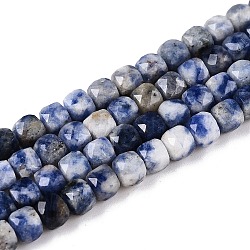 Natural Blue Spot Jasper Beads Strands, Faceted, Cube, 4~5x4~5x4~5mm, Hole: 0.8mm, about 92~105pcs/strand, 14.96~15.35 inch(38~39cm)(G-N342-113)