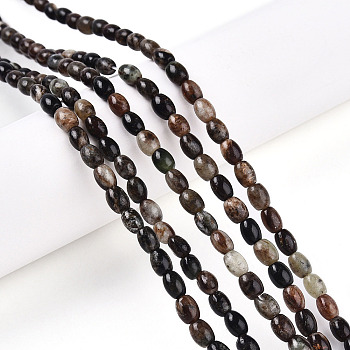 Natural Biotite Beads Strands, Rice, 5~6x4~5mm, Hole: 0.6mm, about 63~67pcs/strand, 14.96~15.16 inch(38~38.5cm)