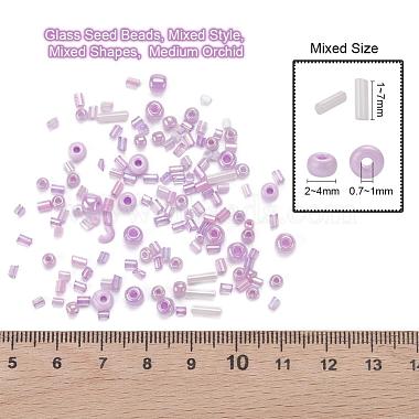 Glass Seed Beads(X-SEED-S059-009)-2