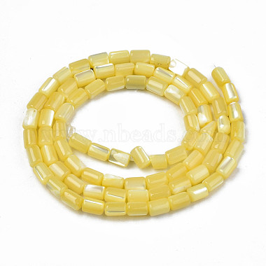 Chapelets de perles de coquille de trochid / trochus coquille(SHEL-N003-26-B10)-2