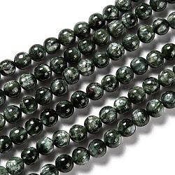 Natural Seraphinite Beads Strands, Round, Grade A, 6mm, Hole: 1mm, about 63pcs/strand, 15.67 inch(39.8cm)(G-E557-22A)