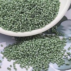 MIYUKI Delica Beads, Cylinder, Japanese Seed Beads, 11/0, (DB2310) Matte Opaque Glazed Pistachio AB, 1.3x1.6mm, Hole: 0.8mm, about 2000pcs/bottle, 10g/bottle(SEED-JP0008-DB2310)