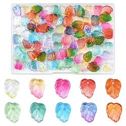 120Pcs 10 Colors Autumn Theme Two-Tone Transparent Glass Charms, Leaf, Mixed Color, 13.5x10.5x3.5mm, Hole: 1.2mm, 12pcs/color(GLAA-FS0002-62)