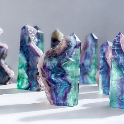 Natural Fluorite Display Decorations, for Home Decoration, Nuggets, 40~70mm(PW-WG36581-01)